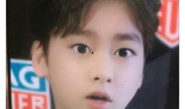 小孩爆料李易峰视频,揭秘娱乐圈背后的真相